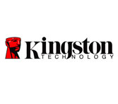 0001001549789logo-kingston